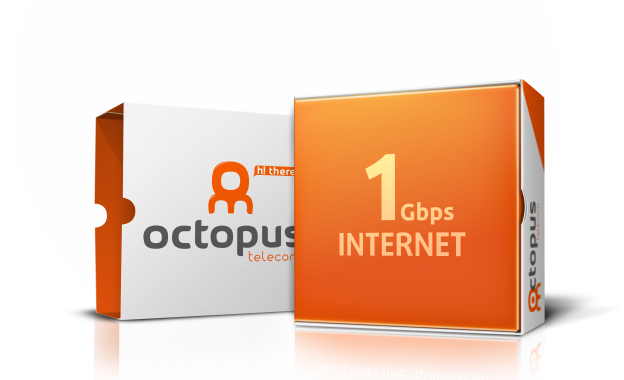 Octopus Fibre FTTE Full Fibre 900 broadband package